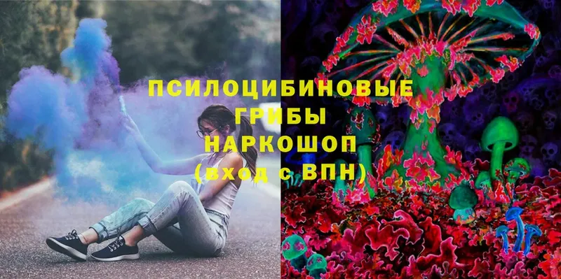 Псилоцибиновые грибы Cubensis  гидра   Вязники 