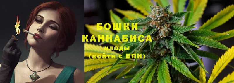 это наркотические препараты  Вязники  Канабис OG Kush 